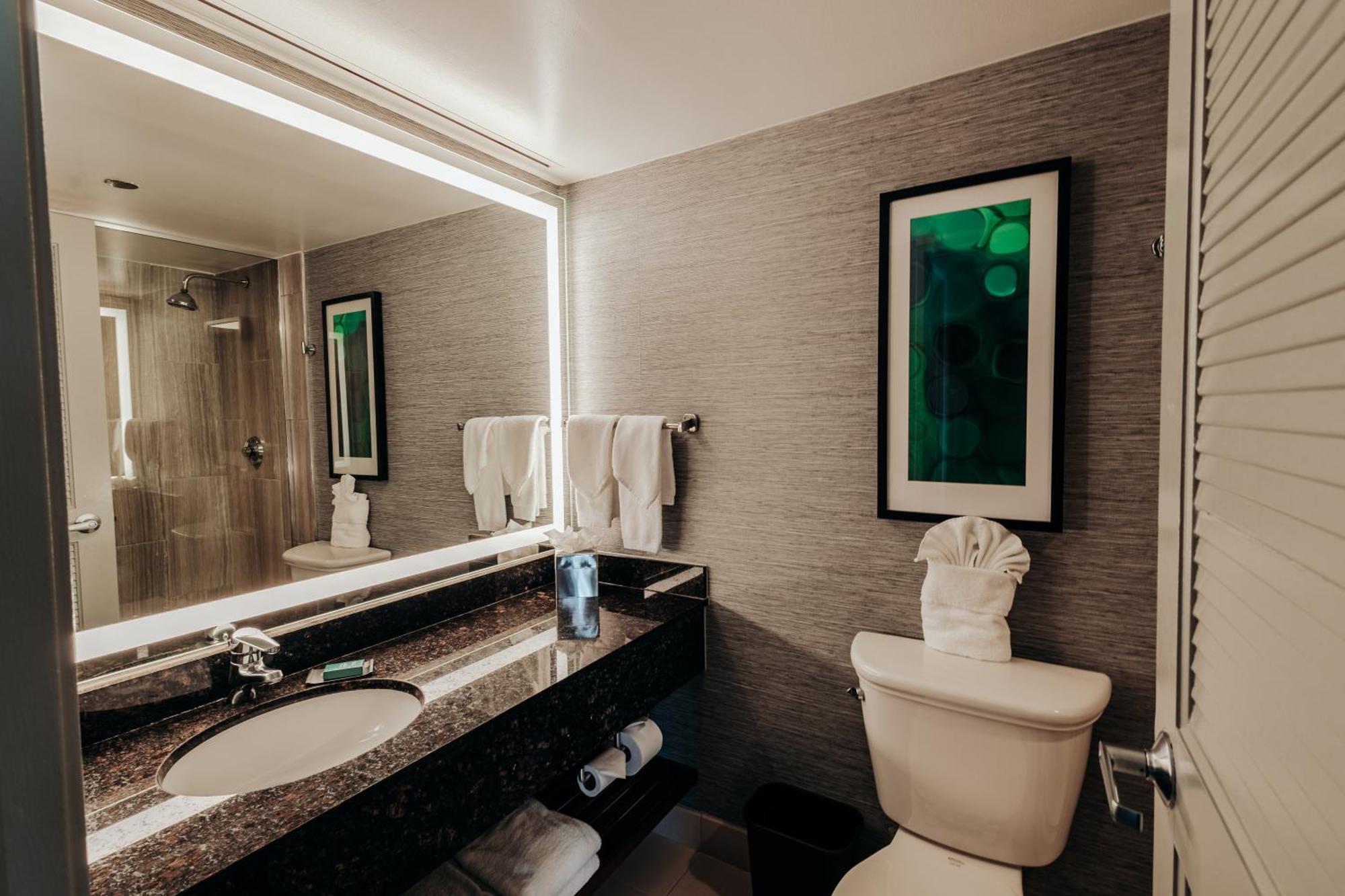 Doubletree By Hilton & Conference Center Chicago-downers Grove
